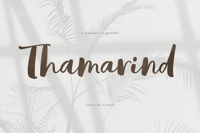 Thamarind Handwritten Font Font Fadeline Std. 