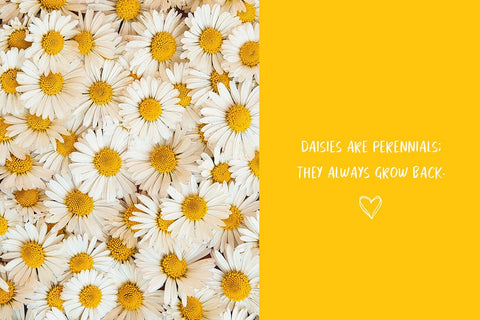 Thanks For The Love Font Font Jupiter Studio Fonts 