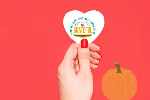 Thanksgiving Sticker Bundle SVG Designangry 