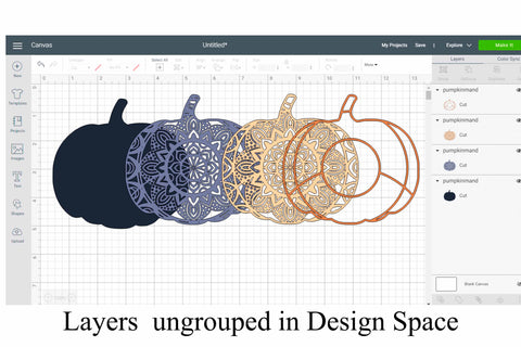 Thanksgiving SVG Layered Mandala Bundle - 5 designs, turkey, sunflower, maple leaf, pilgrim hat, pumpkin SVG Digital Honeybee 