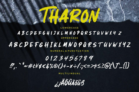 Tharon Brush Style Font Creatype Studio 