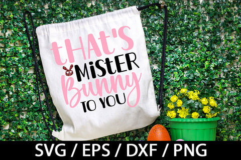 That's mister bunny to you svg SVG akazaddesign 