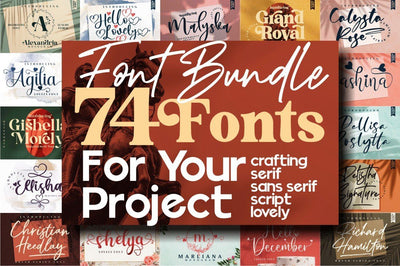 The Amazing Font 74 Fonts LIMITED TIME OVER !!! Font Letterena Studios 