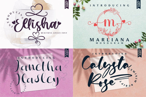 The Amazing Font 74 Fonts LIMITED TIME OVER !!! Font Letterena Studios 