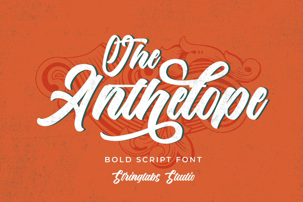 The Anthelope - Retro Bold Script Font - So Fontsy