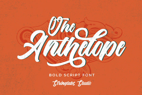 The Anthelope - Retro Bold Script Font Font StringLabs 