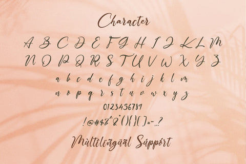 The Austin - Handwritten Script Font Font StringLabs 