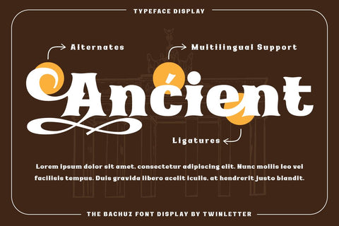 The Bachuz | Serif Classic Modernism Font twinletter 