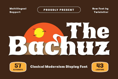 The Bachuz | Serif Classic Modernism Font twinletter 