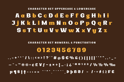 The Bachuz | Serif Classic Modernism Font twinletter 