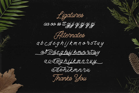 The Banten - Monoline Script Font Font StringLabs 