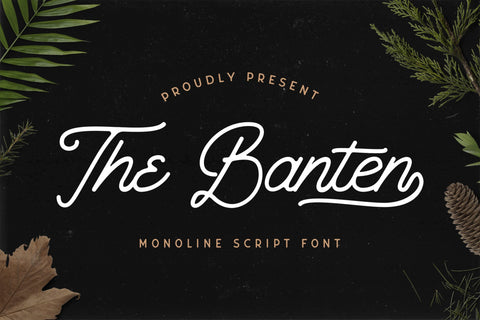 The Banten - Monoline Script Font Font StringLabs 