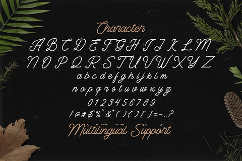 The Banten - Monoline Script Font Font StringLabs 