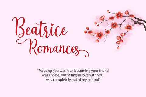 The Beautiful Night Script With Extras Font Attract Studio 