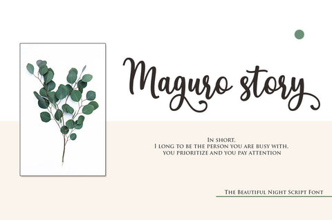 The Beautiful Night Script With Extras Font Attract Studio 