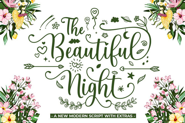 The Beautiful Night Script With Extras Font Attract Studio 