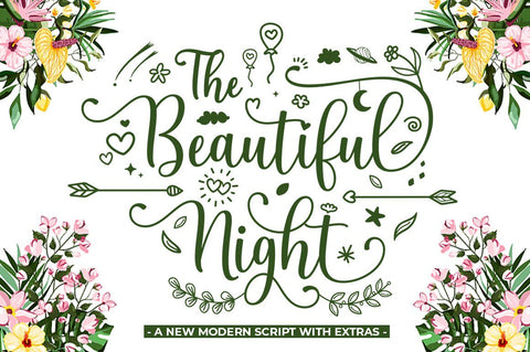 The Beautiful Night Script With Extras Font Attract Studio 