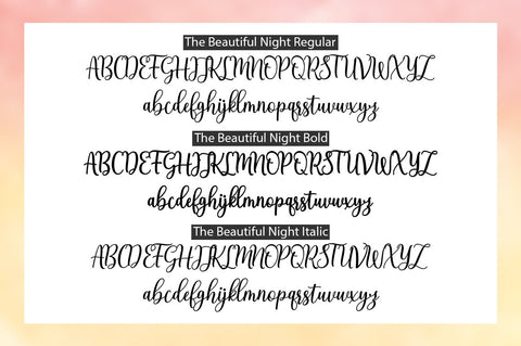 The Beautiful Night Script With Extras Font Attract Studio 