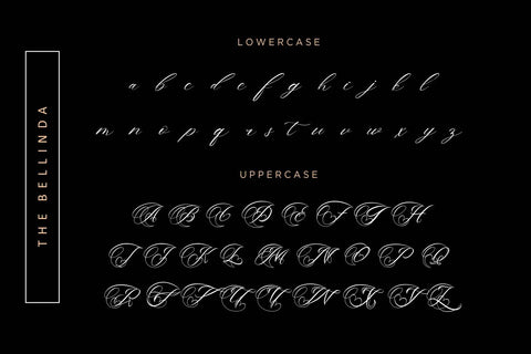 The Bellinda Font Hans Co 