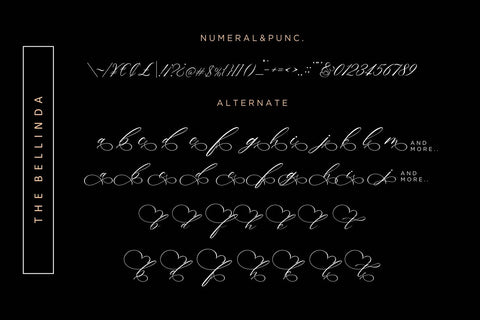 The Bellinda Font Hans Co 