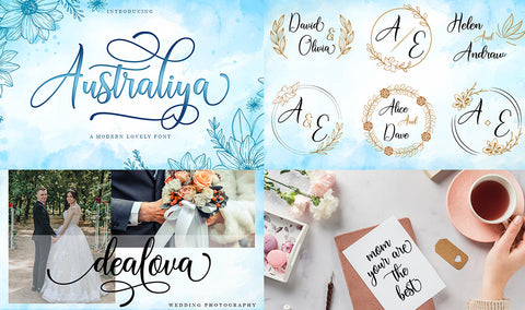 The Best Collection Bundle Font Black Studio 