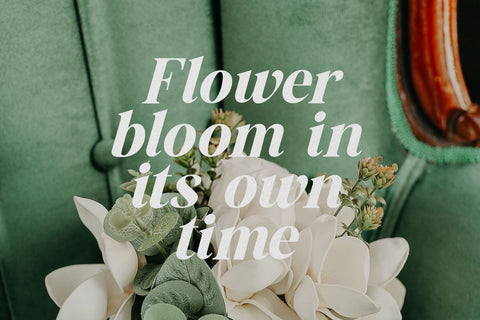 The Billion Butterfly Font Zeenesia Std 