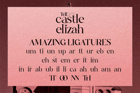 The Castle Elizah Font Letterena Studios 