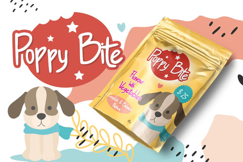 The Comic Struve - Playful Kids Font Font StringLabs 