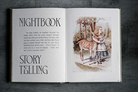 THE CRONICLE Typeface Font Storytype Studio 