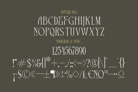 THE CRONICLE Typeface Font Storytype Studio 