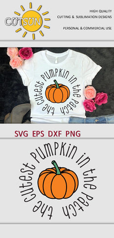 The Cutest Pumpkin in the Patch SVG SVG CutsunSVG 