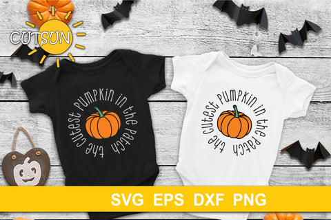 The Cutest Pumpkin in the Patch SVG SVG CutsunSVG 