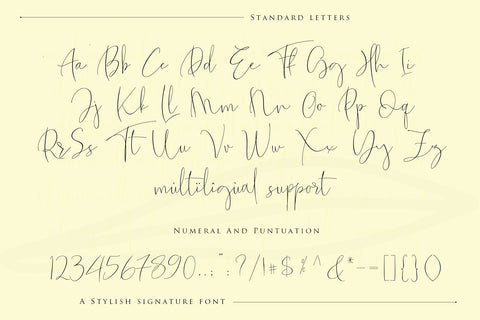 The Fantastic Signature Font Sulthan studio 