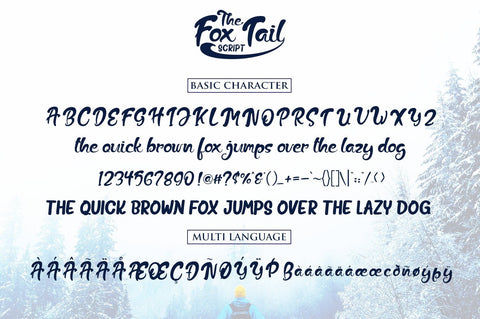 The Fox Tail Script Font Din Studio 