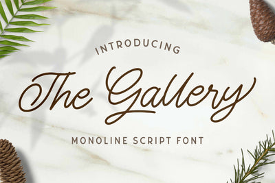 The Gallery - Monoline Script Font Font StringLabs 