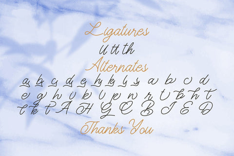 The Gallery - Monoline Script Font Font StringLabs 