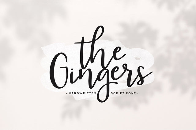 The Gingers Handwritten Script Font Font Paily Studio 