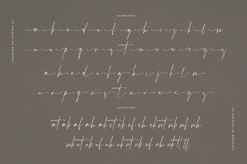 The Hamster Font Font Vultype Co 