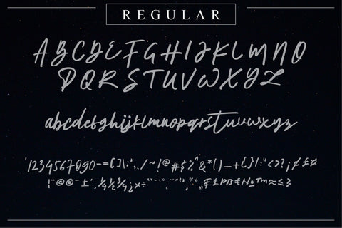 The Horizontal Signature Font Font Anastasia 