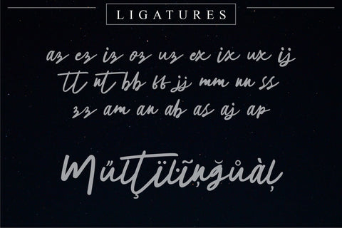 The Horizontal Signature Font Font Anastasia 