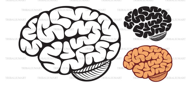 The human brain SVG TribaliumArtSF 