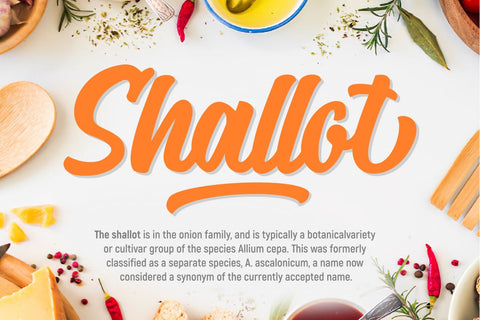 The Hungry Font Zeenesia Std 