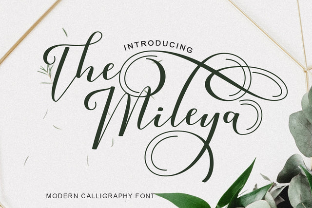 The Mileya Font So Fontsy Design Shop 