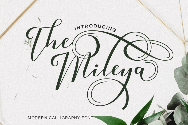 The Mileya Font So Fontsy Design Shop 