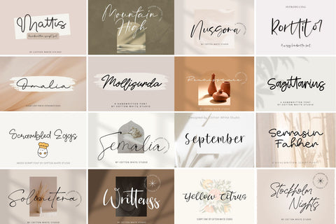 The Modern Script Bundle Font Cotton White Studio 