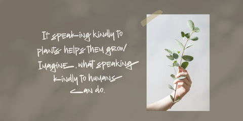 The Old Falcons Font Allouse.Studio 