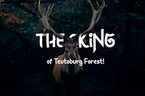 The Raink Font twinletter 