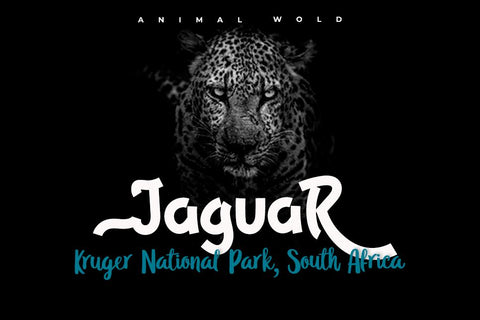 The Raink Font twinletter 