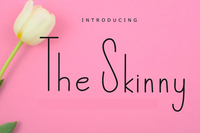 The Skinny Font Chamsae Studio 