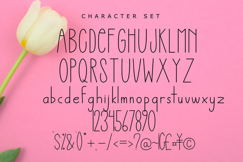 The Skinny Font Chamsae Studio 